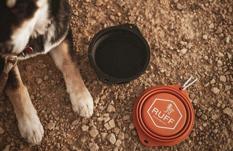 Best Collapsible Dog Bowls