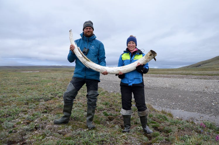 mammoth tusk dna