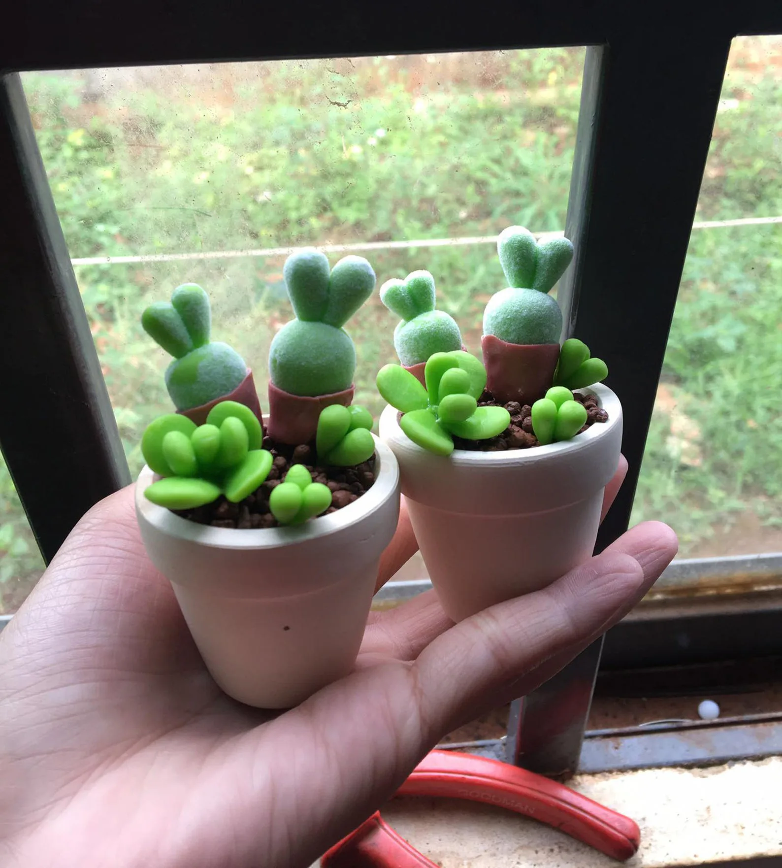 These Bunny Succulents To Buy On Etsy Are So Darn Cute
