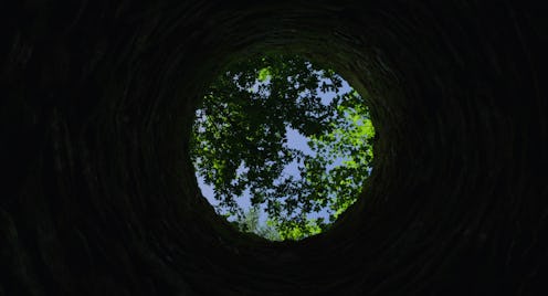 The forest via NETFLIX MEDIA CENTER
