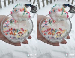How To Make TikTok's Snow Ice Cream Recipe