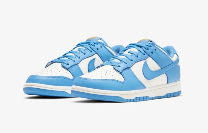 Nike "Coast" Dunk Low