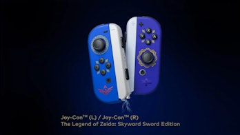 Legend of Zelda Skyward Sword Joycons