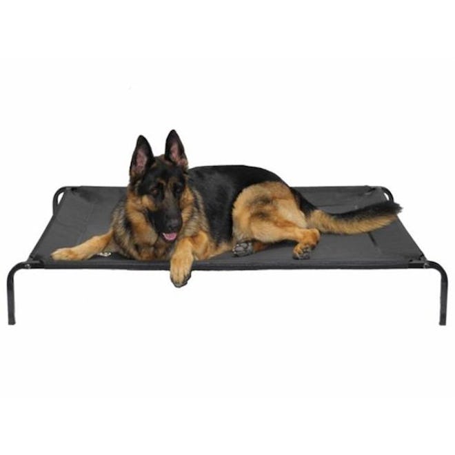 Go Pet Club PC-50 Elevated Cooling Pet Cot Bed