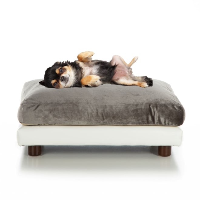 Club Nine Pets Milo Orthopedic Dog Bed