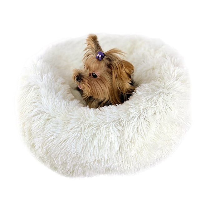 Luxury Fluffy Soft Pet Bed for Cats & Dogs, Assorted Colors & Sizes Dog Bed, Self-Warming