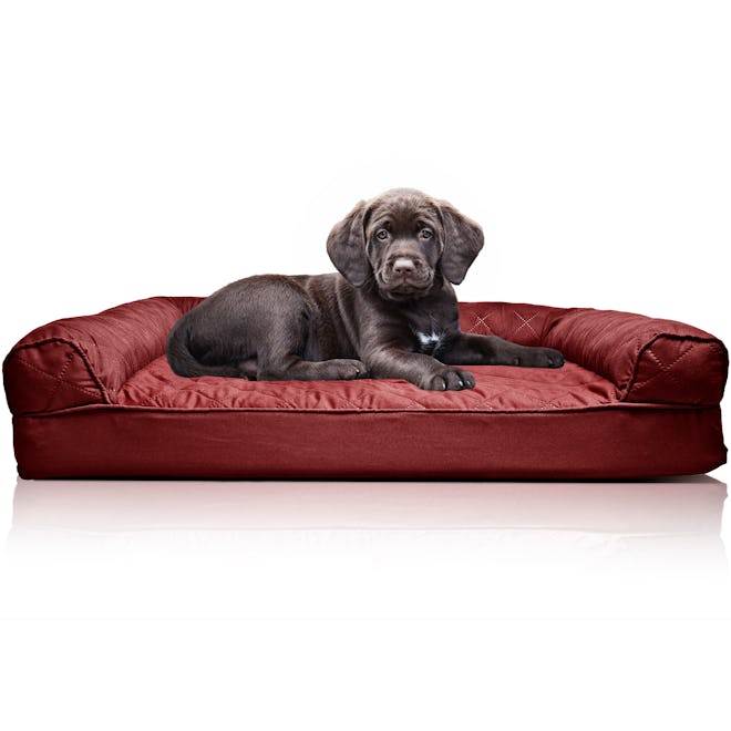 Orthopedic Quilted Sofa-Style Couch Pet Bed for Dogs & Cats