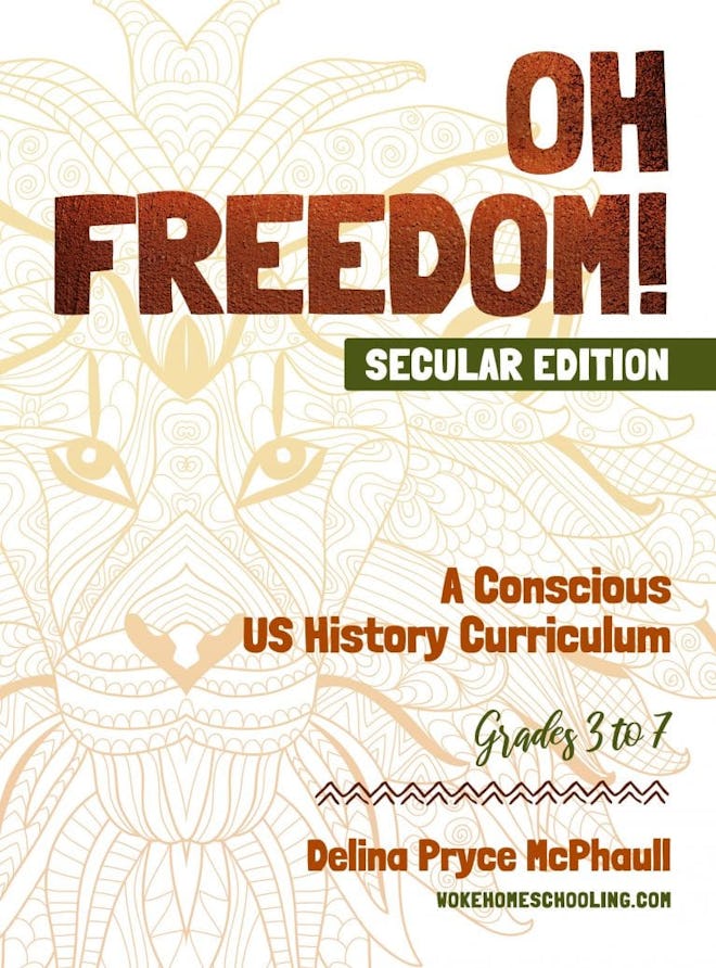 Oh Freedom: A Conscious US History Curriculum 