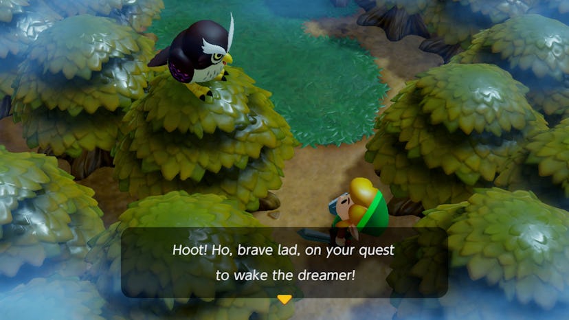 Link meets a wise creature in Link's Awakening.