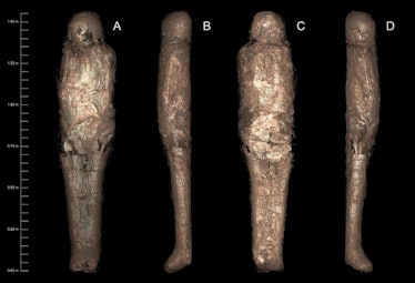 mud covered mummy egypt