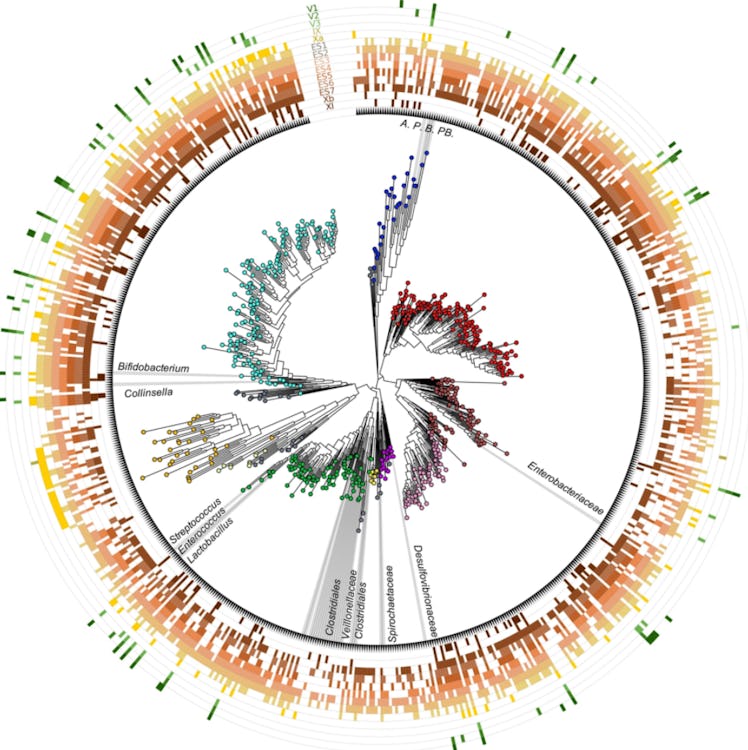 dna sequence graph