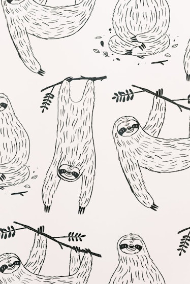 Mr. Sloth Wallpaper