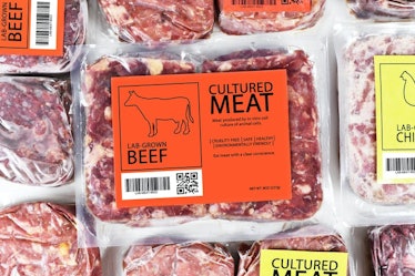 cultured meat