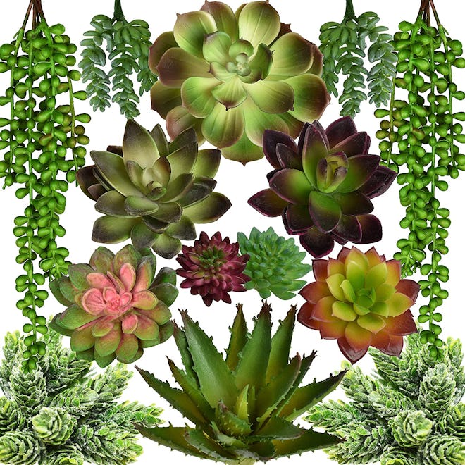 Seeko Artificial Succulents (Set Of 14)