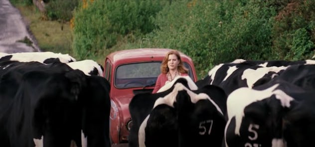'Leap Year' is a movie streaming on Amazon Prime.