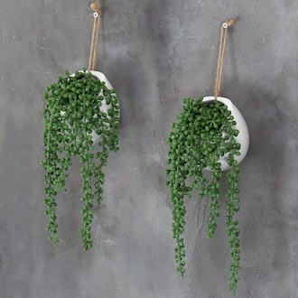 MyGift Artificial String of Pearls Plants (2-Pack)