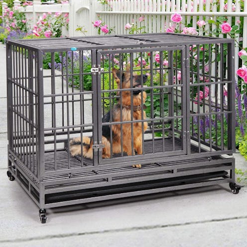 best heavy duty dog crates amazon