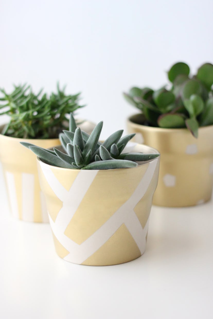 gold succulent pots 