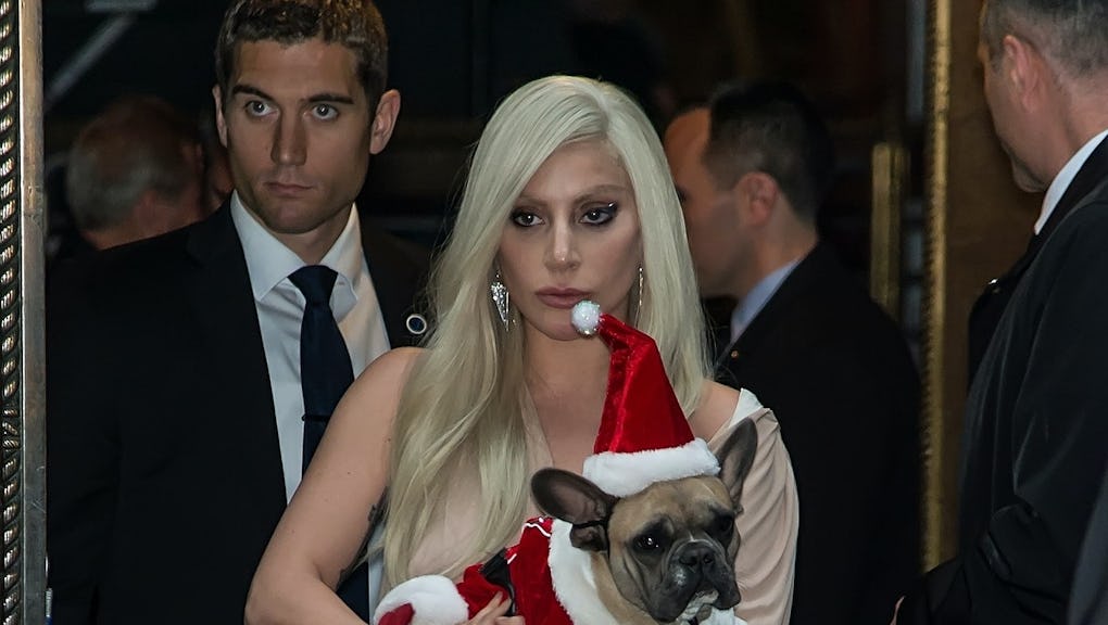 Some monster shot Lady Gaga's dog walker and stole her French bulldogs