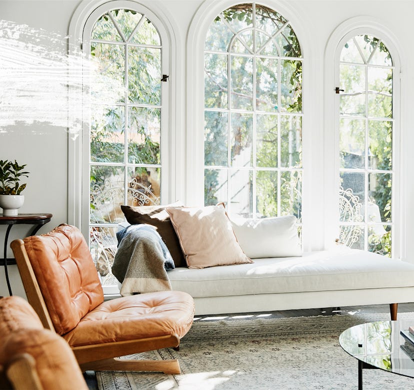 A living room with a white couch, brown leather armchair and great lighting and a plant