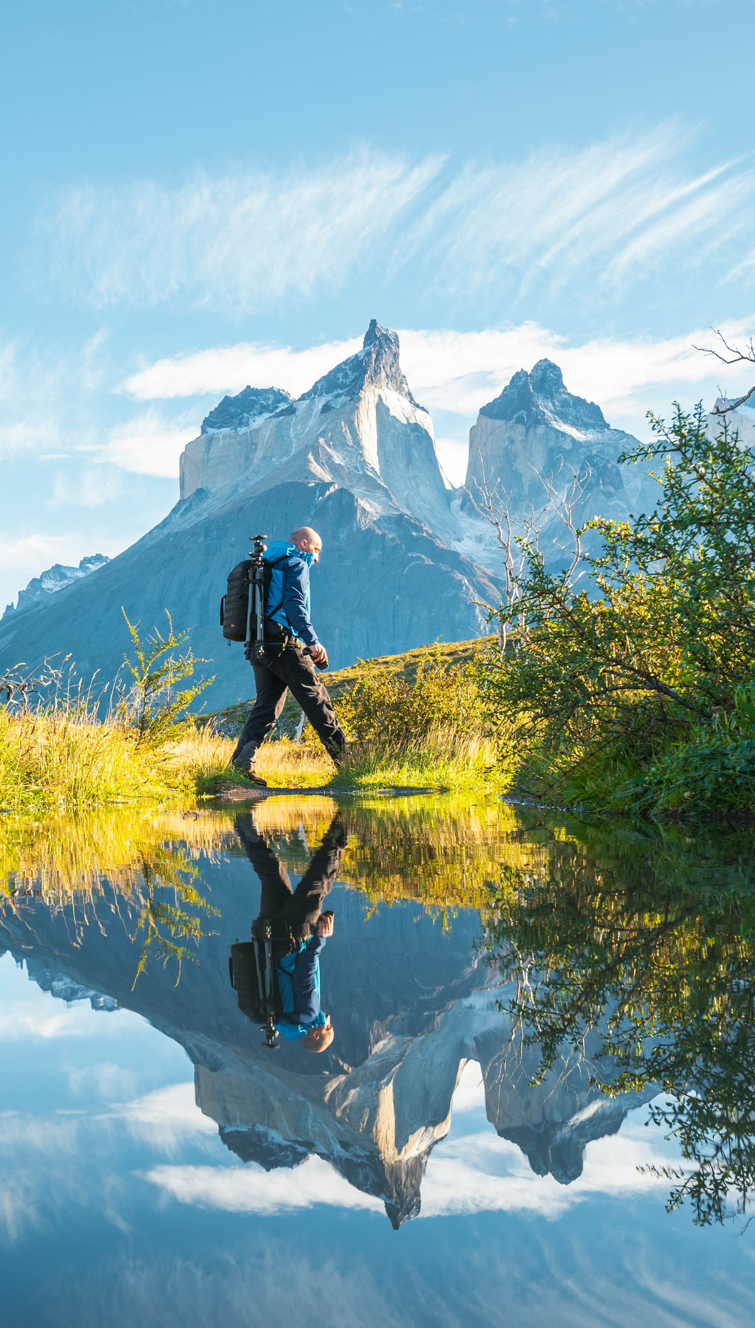 5 Netflix nature documentaries that will get you through winter