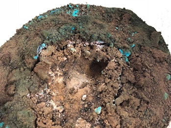 Photo of Mars analog crust following hydration experiment with dry blue sulfates on the surface and moist pink sulfates below. 