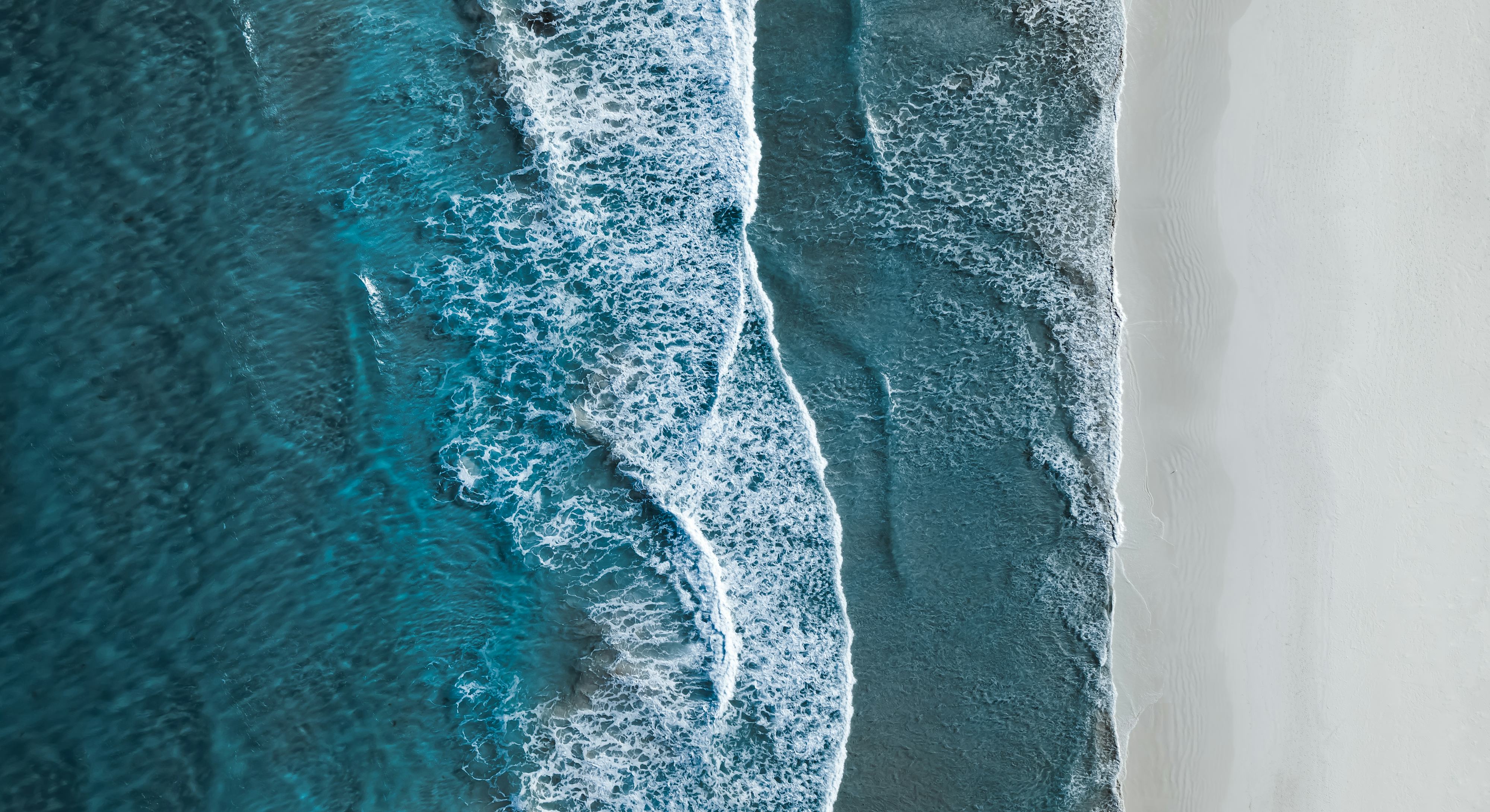 5 Netflix nature documentaries that will get you through winter