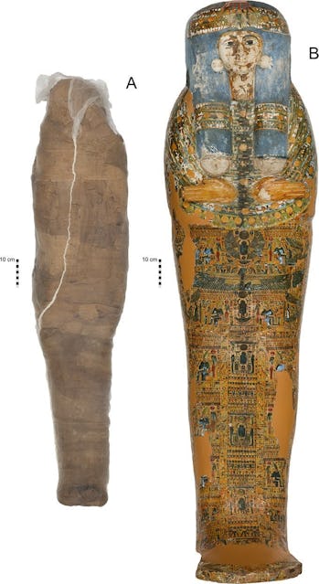 A figure of the mummy's remains and coffin from the paper