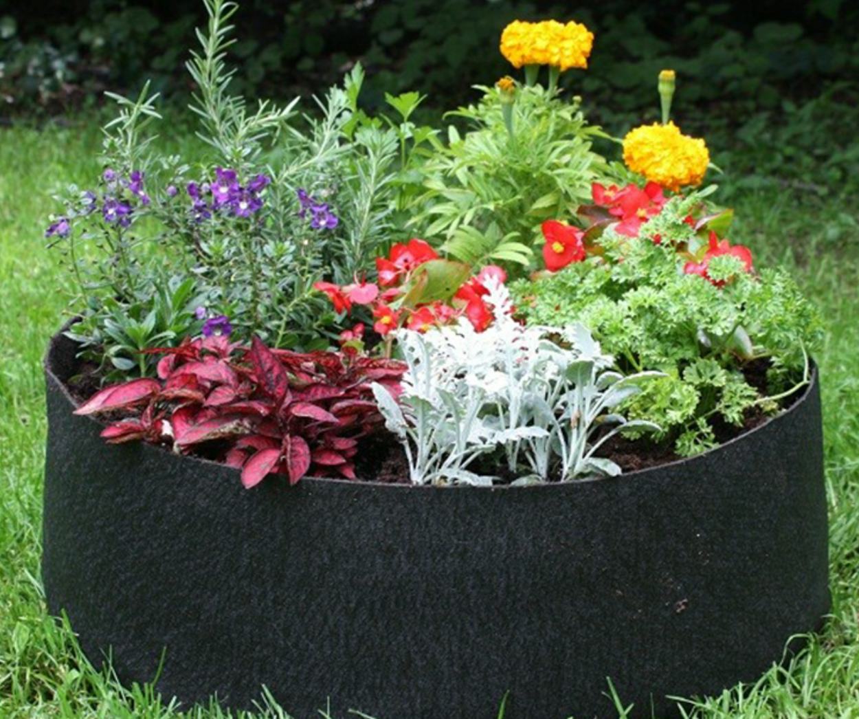 The 8 Best Raised Garden Beds