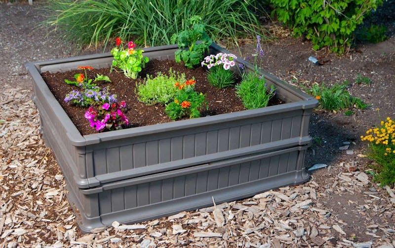 best raised garden beds