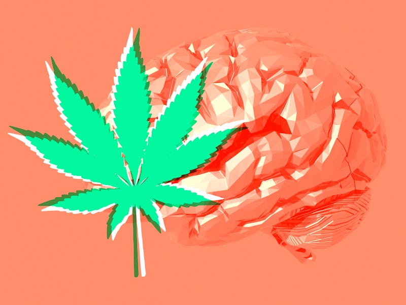 Human brain and cannabis