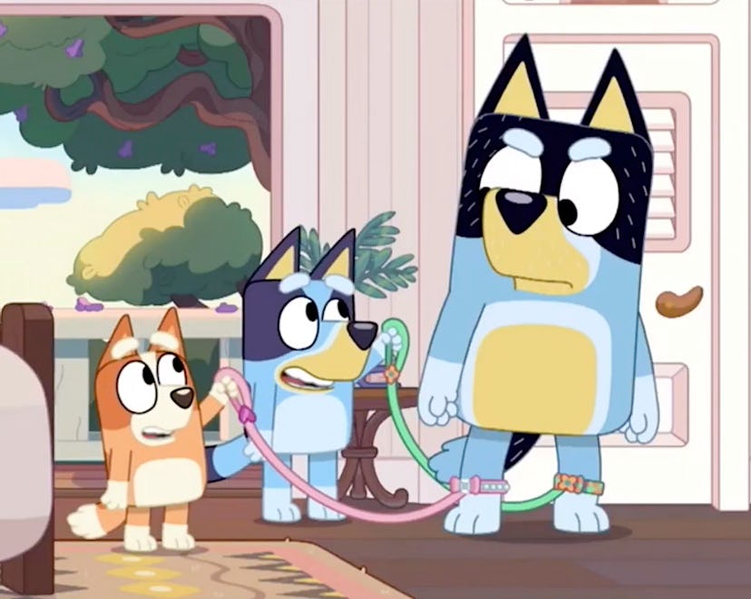 Families can catch up on Bluey and Bingo's latest adventures by watching season 2 of 'Bluey.'