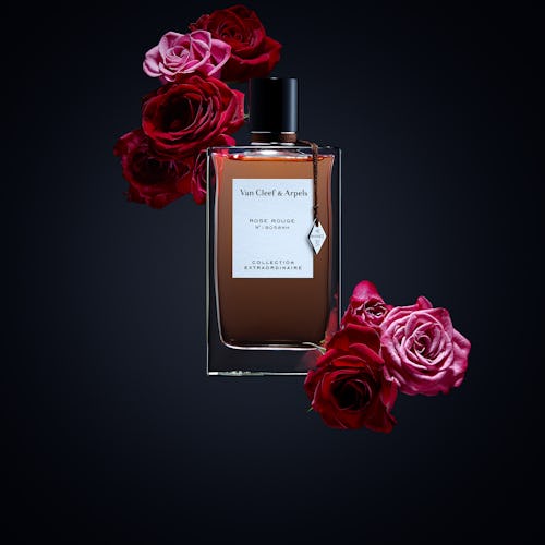 The   Collection Extraordinaire Rose Rouge Van Cleef & Arpels bottle surrounded by roses