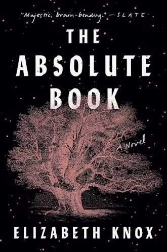 'The Absolute Book' by Elizabeth Knox