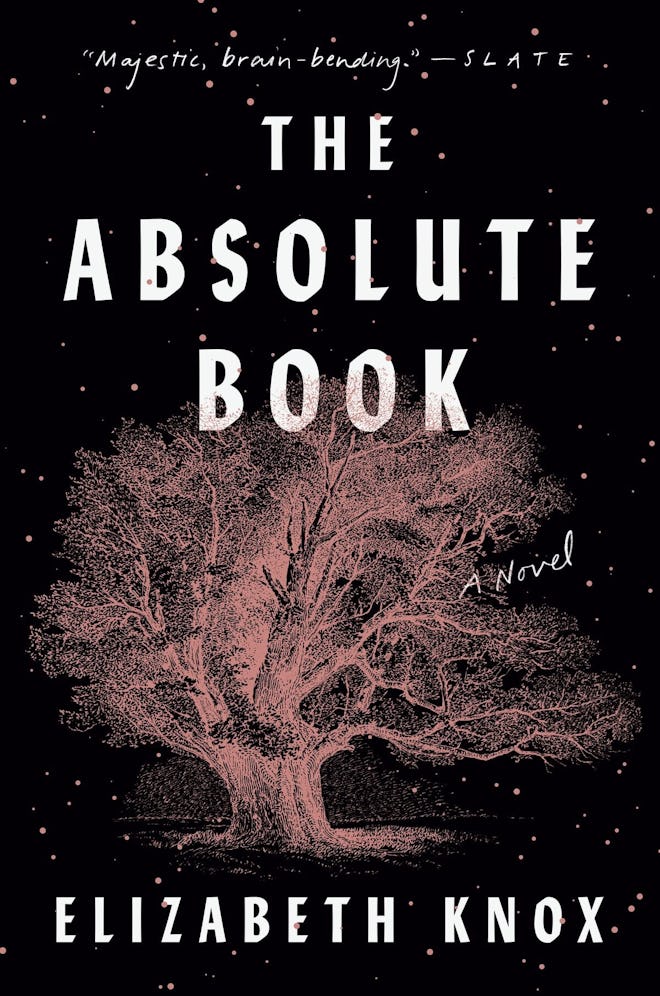 'The Absolute Book' by Elizabeth Knox