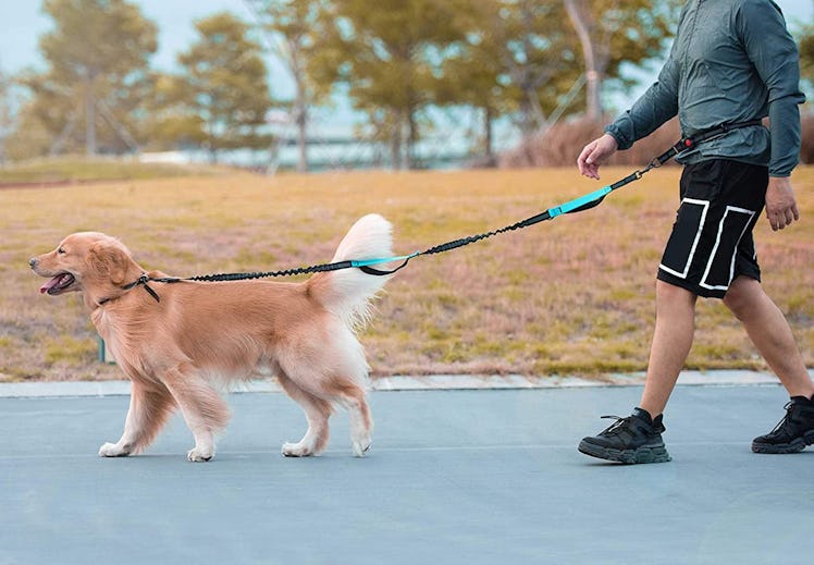 iYoShop Hands-Free Dog Leash with Zippered Pouch