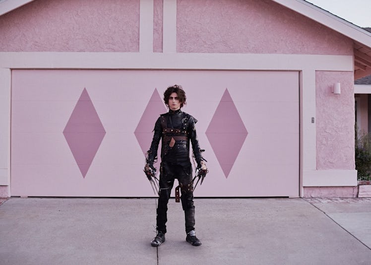 Timothee Chalamet in Cadillac's Edward Scissorhands Super Bowl ad.