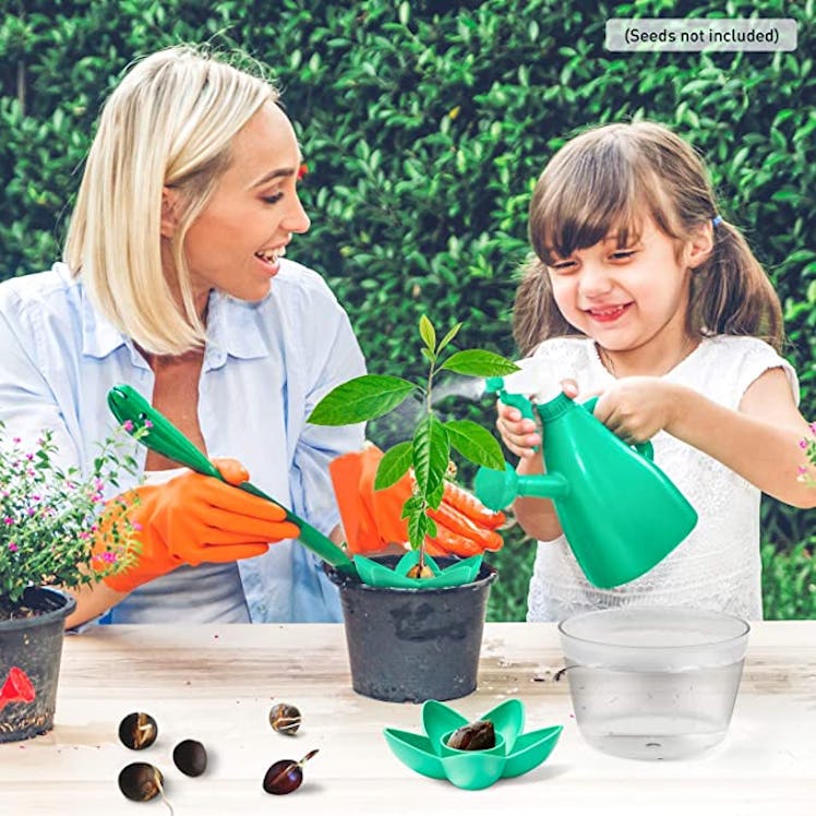 HENMI Avocado Growing Kit