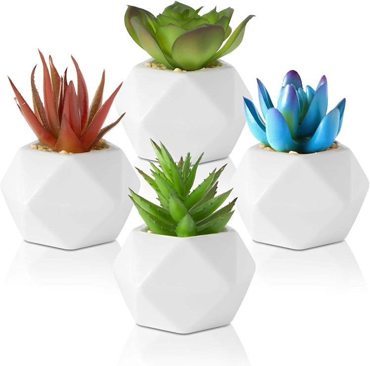 Set of 4 Fake Succulents 