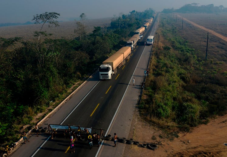 Amazon rainforest protest