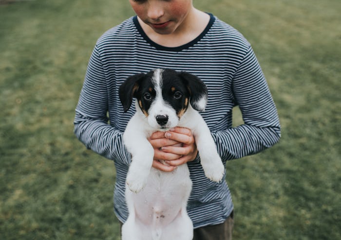 A boy holding a black and white dog.