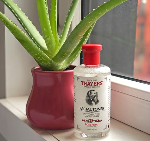 A bottle of Thayer's Witch Hazel toner in front of a potted plant on a window
