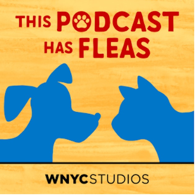 'This Podcast Has Fleas' is a podcast hosted by rival pets.
