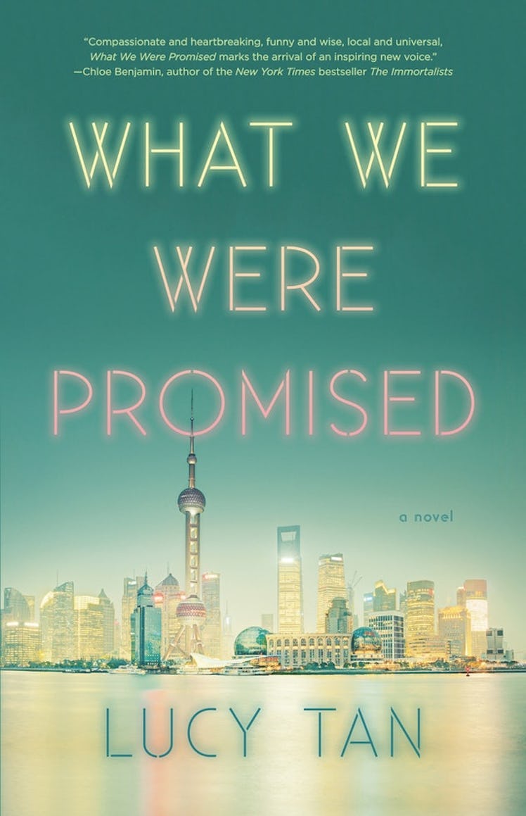 'What We Were Promised' by Lucy Tan