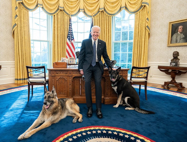 Joe Biden in the Oval Office with his dogs