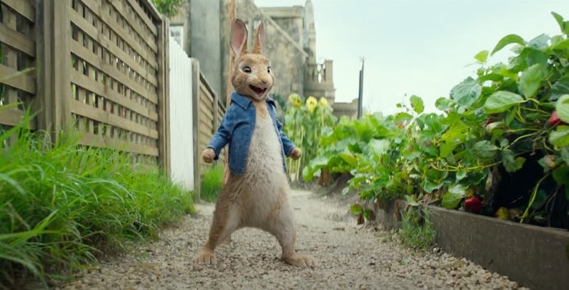 You can rent 'Peter Rabbit' on YouTube Movies.