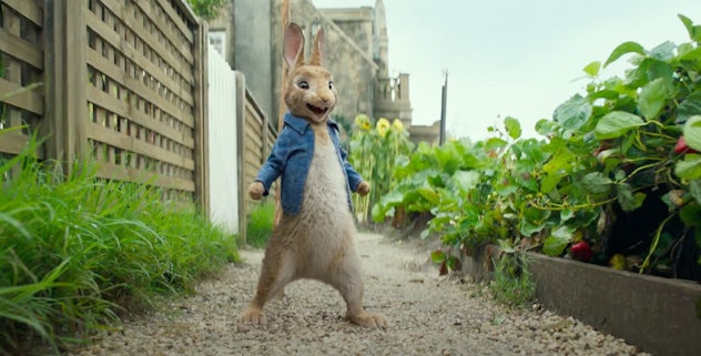 You can rent 'Peter Rabbit' on YouTube Movies.