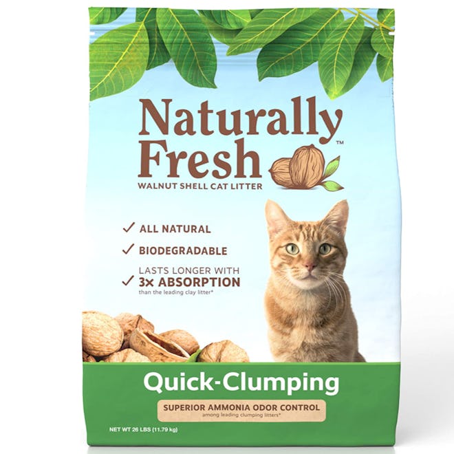 The Best Natural Dust-Free Cat Litter