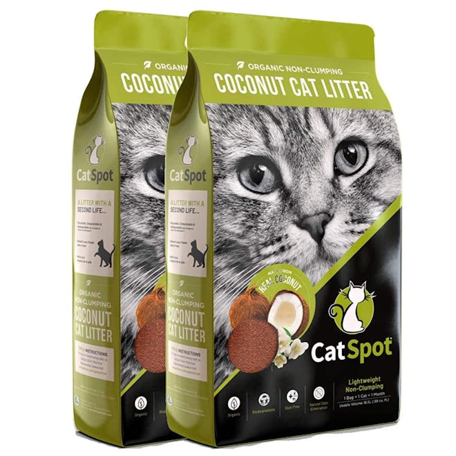 The Best Non-Clumping Dust-Free Cat Litter