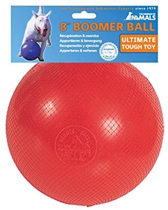 The Company of Animals Boomer Ball